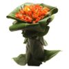 Enamorado de rosas