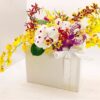 BOX PRIMAVERA