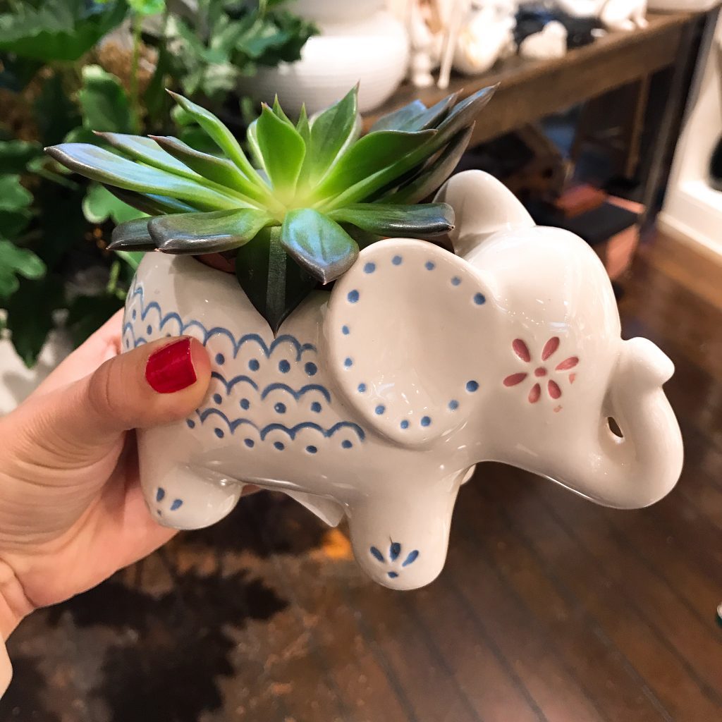 Bem Me Quer Flores & Design