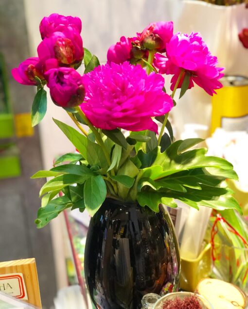 PEONY TIME