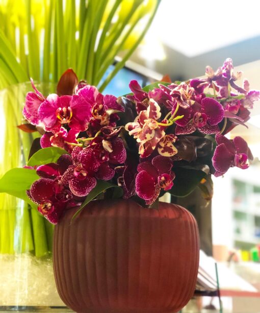 MARSALA