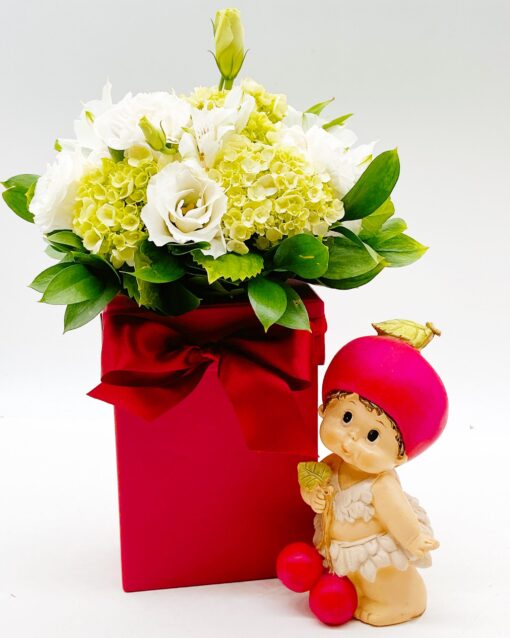 BOX RED FRUIT