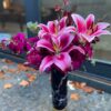 NERO PINK