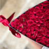 BOX TRIANGULAR RED
