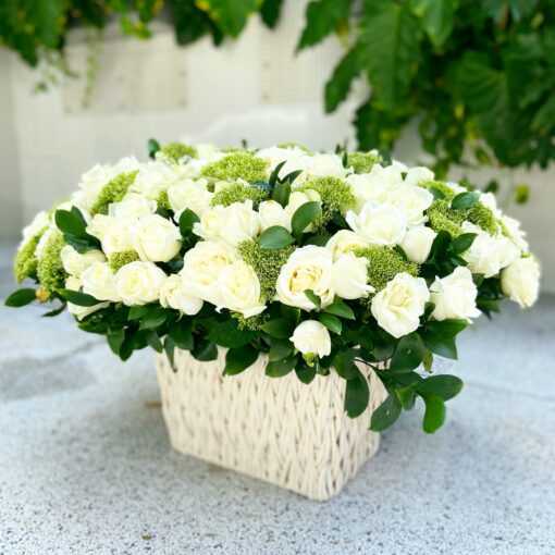 ROSES Y ROSES