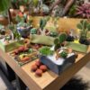 CERAMICAS & CACTOS