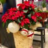 POINSETTIA CHRISTMAS