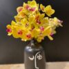DESIGN AMARELO