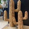 DUO DE CACTOS