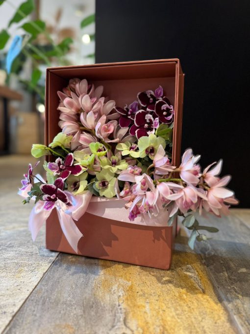 BOX ORCHIDS