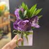 BOX VANDA ROXA