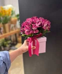 BOX ASTROM PINK