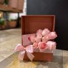 CLAIRE ROSE