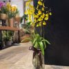 GOLD & BROWN ORCHID