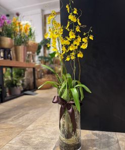 GOLD & BROWN ORCHID