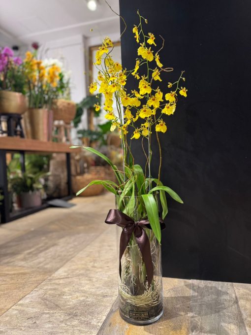 GOLD & BROWN ORCHID
