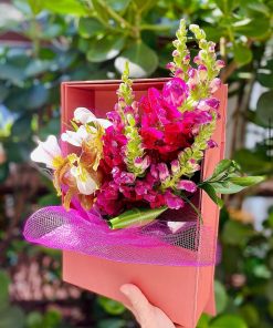 MOM BOX