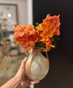 PRESS ORANGE