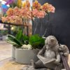 URSO & ORQUIDEAS