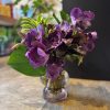 VANDA PURPLE