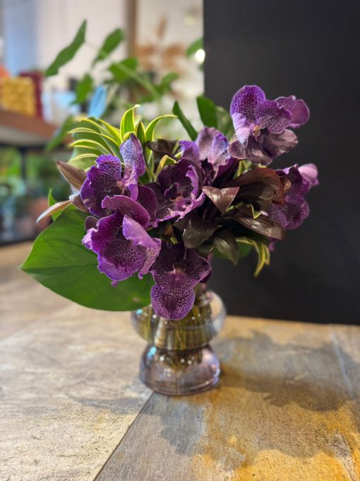 VANDA PURPLE
