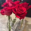MIRAGEM DE ROSAS