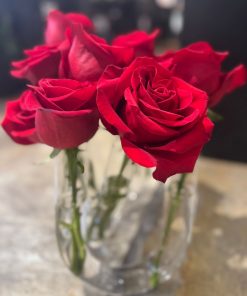 MIRAGEM DE ROSAS